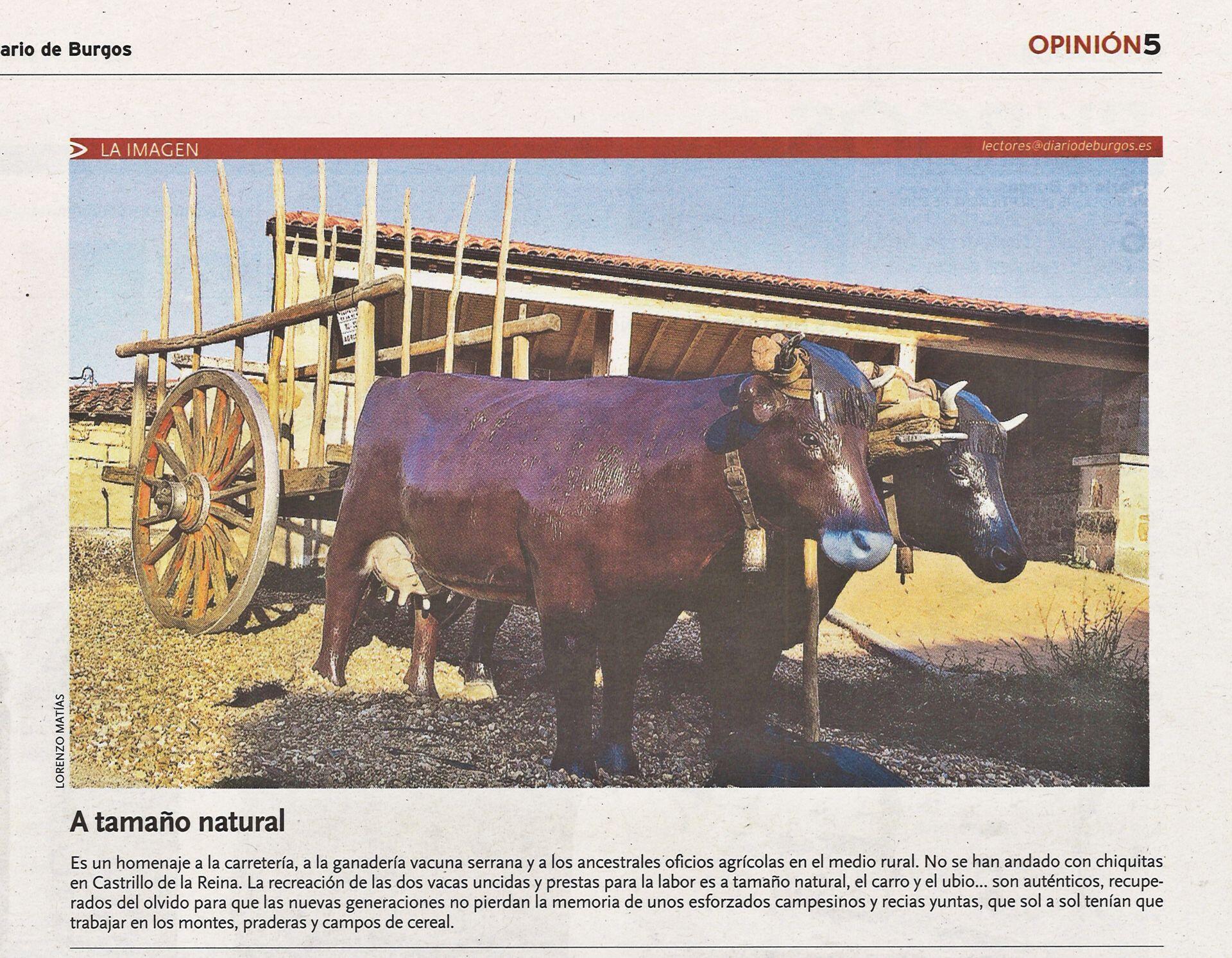 Fotografía de la galería de imágenes con id: 3101