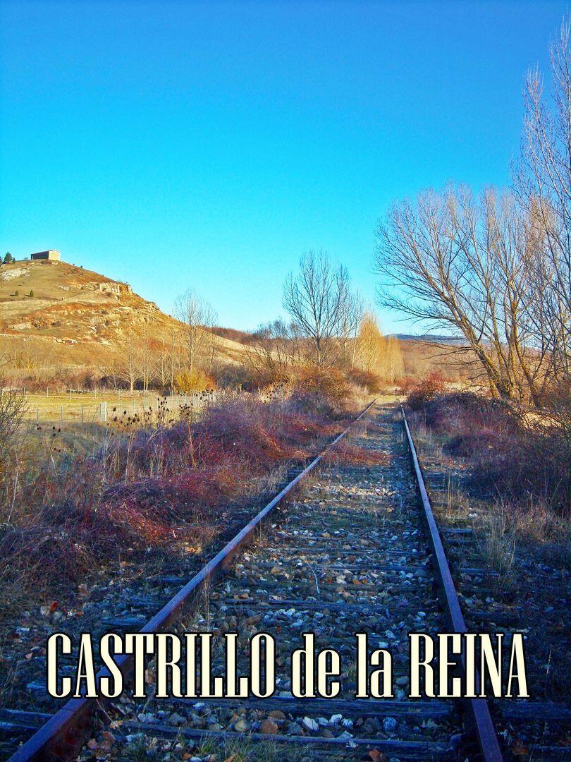Fotografía de la galería de imágenes con id: 983
